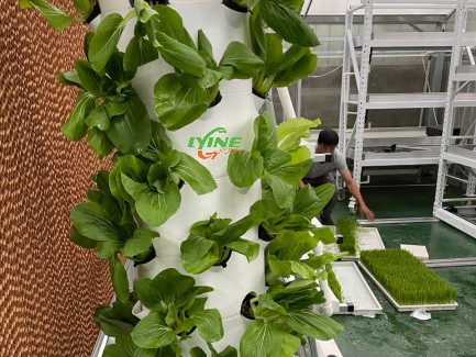 Hydroponic tower System