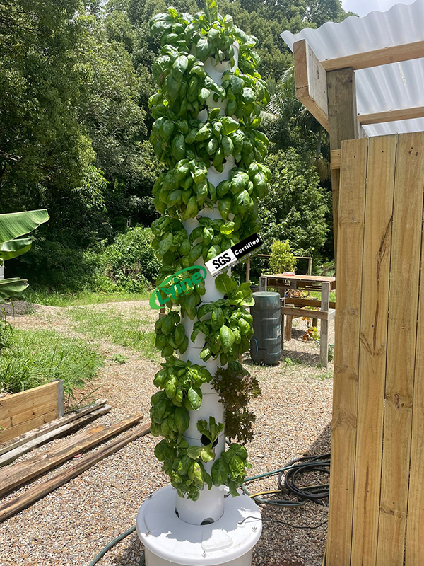 Australian Customer 4P10 Tower System Hydroponics Feedback