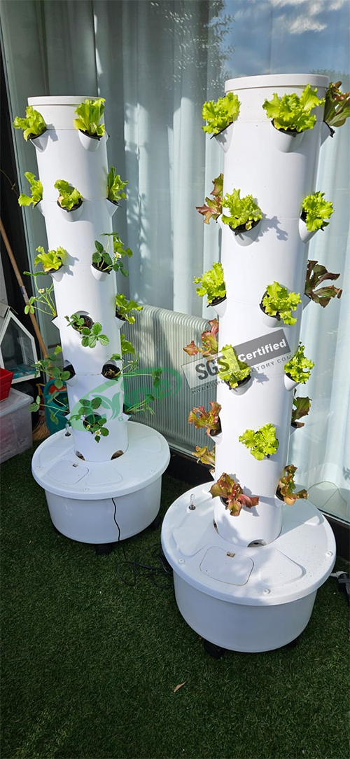 Feedback From Italian Customers On Our 4P6 Hydroponic Tower System
