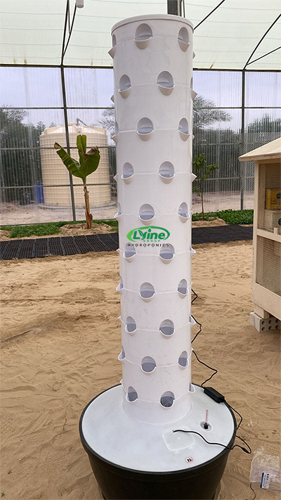 Feedback from Kuwaiti customers on our 6P10 hydroponic tower system