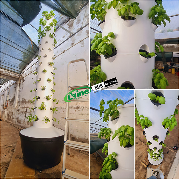Feedback On the 6P15 Hydroponic Tower System Planted By A Customer In Portugal