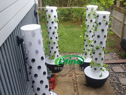 Maldives customer ordered 4 sets of 6P10 hydroponic tower system to grow vegetables01