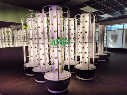 New Zealand customer grows vegetables indoors with our 6P10 hydroponic tower system