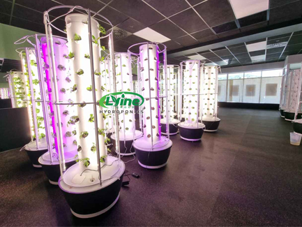 New Zealand customer grows vegetables indoors with our 6P10 hydroponic tower system02