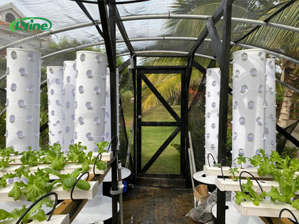 Ten 6P10 aeroponic tower systems and 600 metres of NFT pipe in the British Virgin Islands01