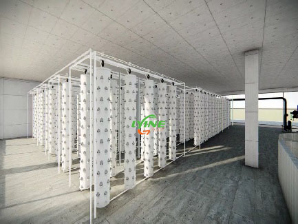 hydroponic farm 