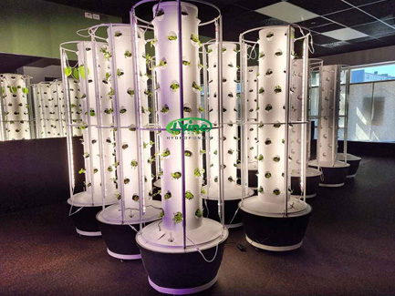 USA 12 sets of 6P10 hydroponic tower system with lights02