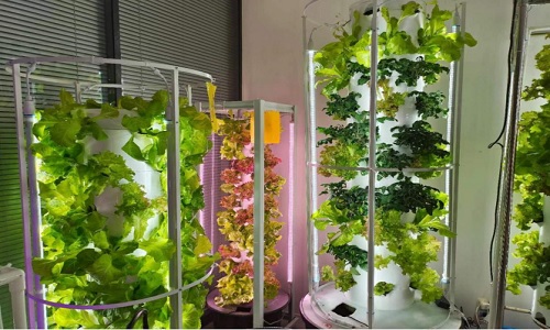  Hydroponic Tower System That Can Grow A Variety Of Crops Indoors Or Outdoors