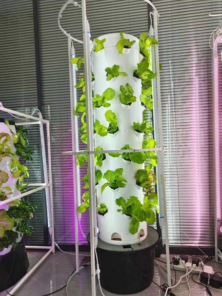 Hydroponic Tower System?