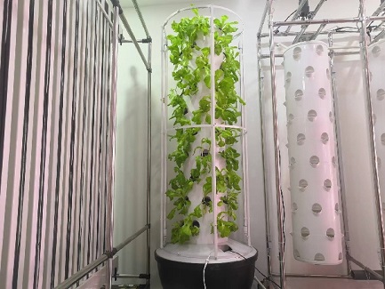 hydroponic tower