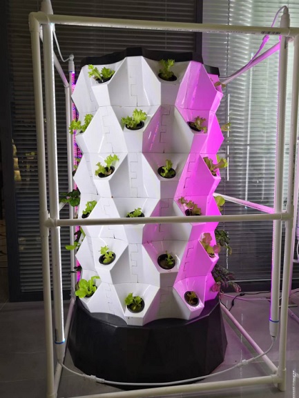  How To Plant Lettuce In Hydroponic Tower System?