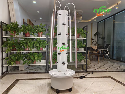 Luxembourg Customers Distribute New Hydroponics Tower System