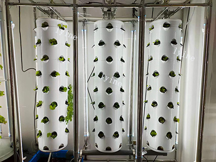 Hydroponic Hanging Tower Systems in Brazil
