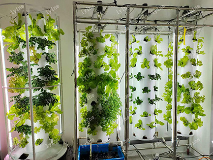 Mongolia Hydroponic Tower System