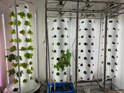  hydroponic tower system