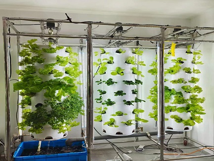 Saudi Arabia Hydroponic Tower System