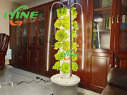 Belgian Customers Distribute the New 4p6 Mini Hydroponics Tower System