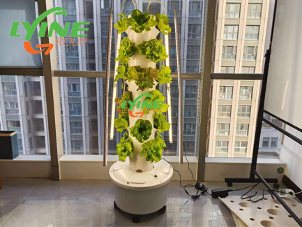 20 Sets of Small-sized Hydroponic Tower Systems With Lights for Romanian Dealers