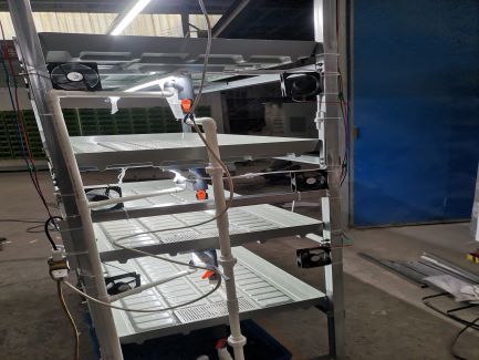 United Arab Emirates hydroponic microgreen system