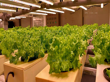 vertical farming