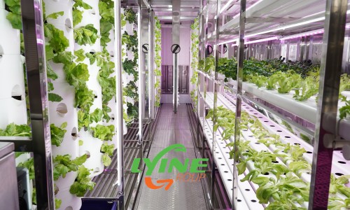 Vertical Farming Container