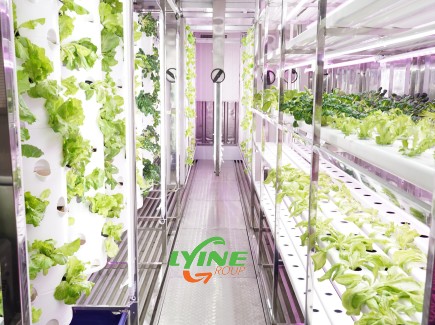 Hydroponic container farming