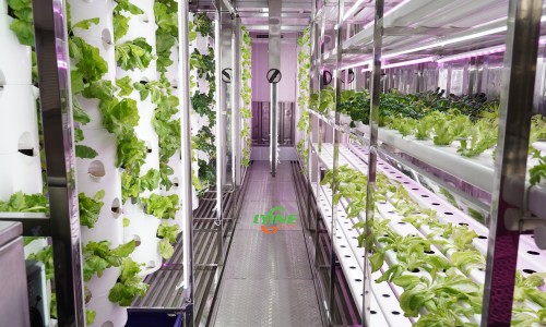 vertical farming technology