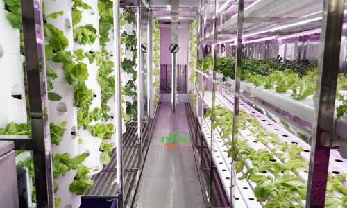 hydroponic containers