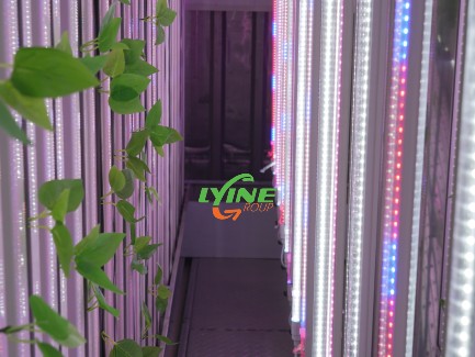 vertical farming technology