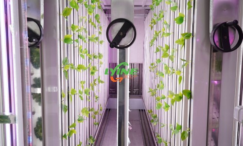 The ZIP Hydroponic System