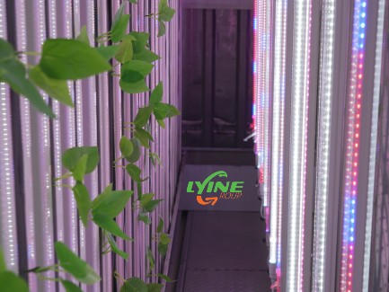 Hydroponic zip system container