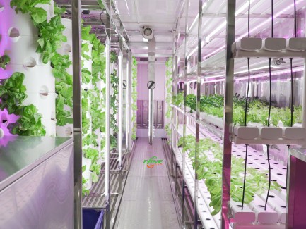 Vertical Farming Container