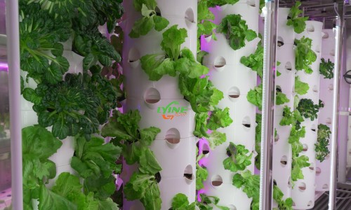 Hydroponic tower System