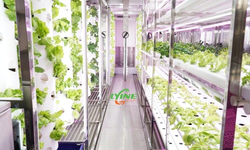 Container Farm