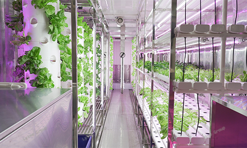 vertical hydroponic farming