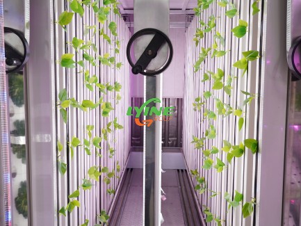 vertical farming technology