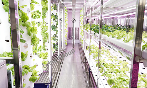 vertical farming technology