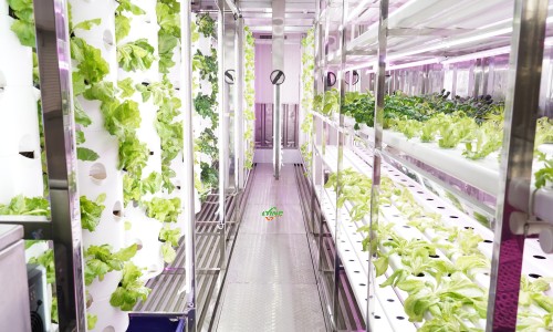 Vertical Farming Container