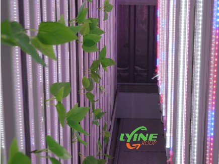 hydroponic containers