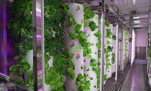 Hydroponic Tower System