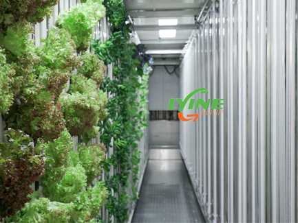 Vertical Farming Container