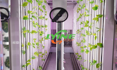  What are the types of hydroponic systems for shipping container farms?