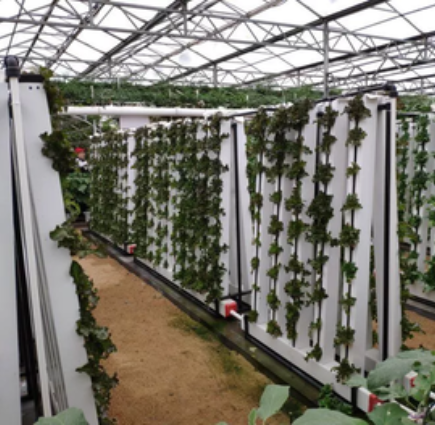 Hydroponic Zip Tower System