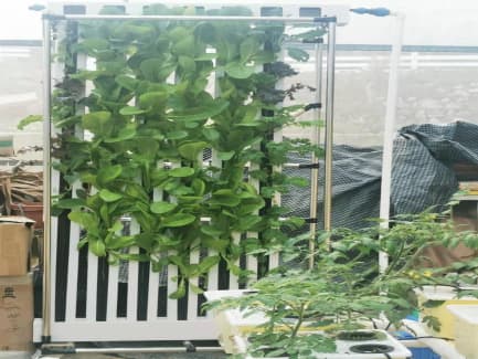 Mexico ZIP Planting Hydroponic System