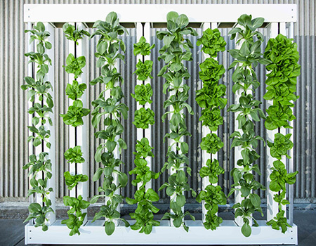 zipper hydroponic system