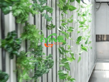 The ZIP Hydroponic System