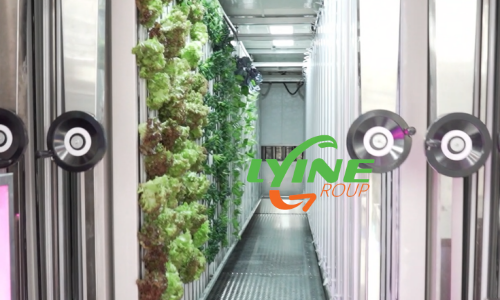 The ZIP Hydroponic System