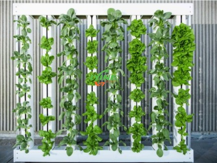 The ZIP Hydroponic System