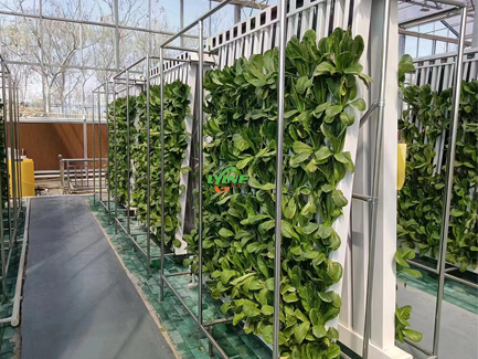 Hydroponic Zip Farm