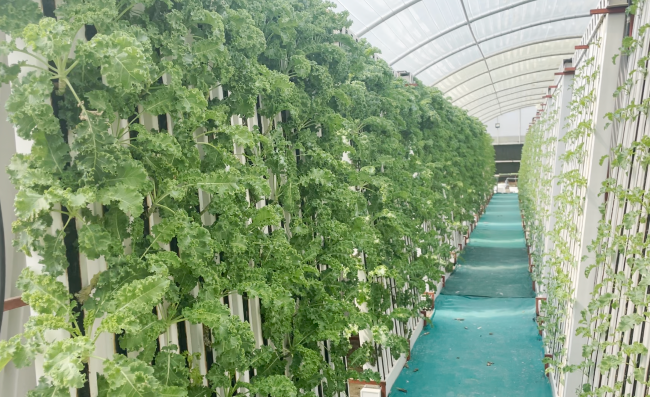 zip growing system